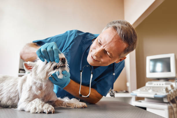 Best Cracked Tooth Emergency Dentist  in Benwood, WV